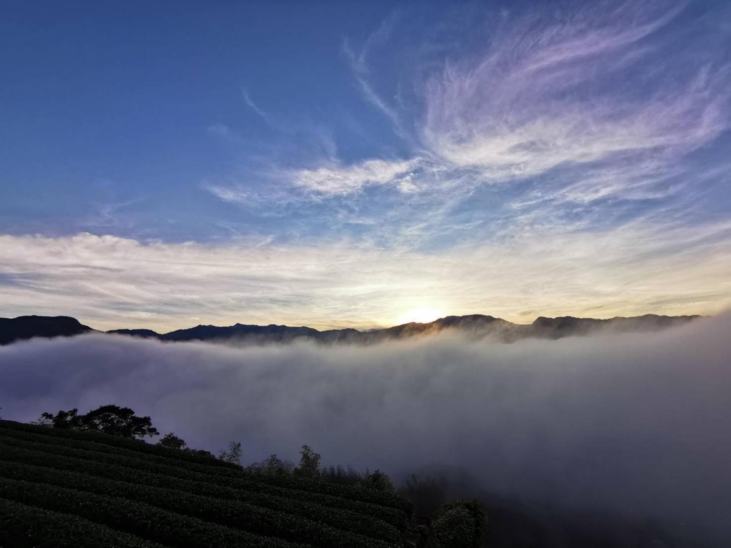 Alishan Tea Garden B&B Fenchihu Exterior photo
